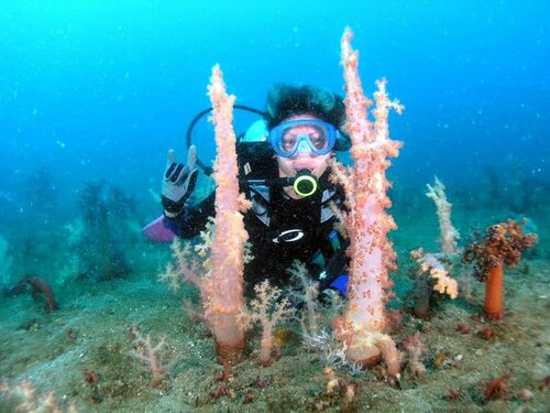 Гостиница Bentrina Diving Resort в Провинции Батангас