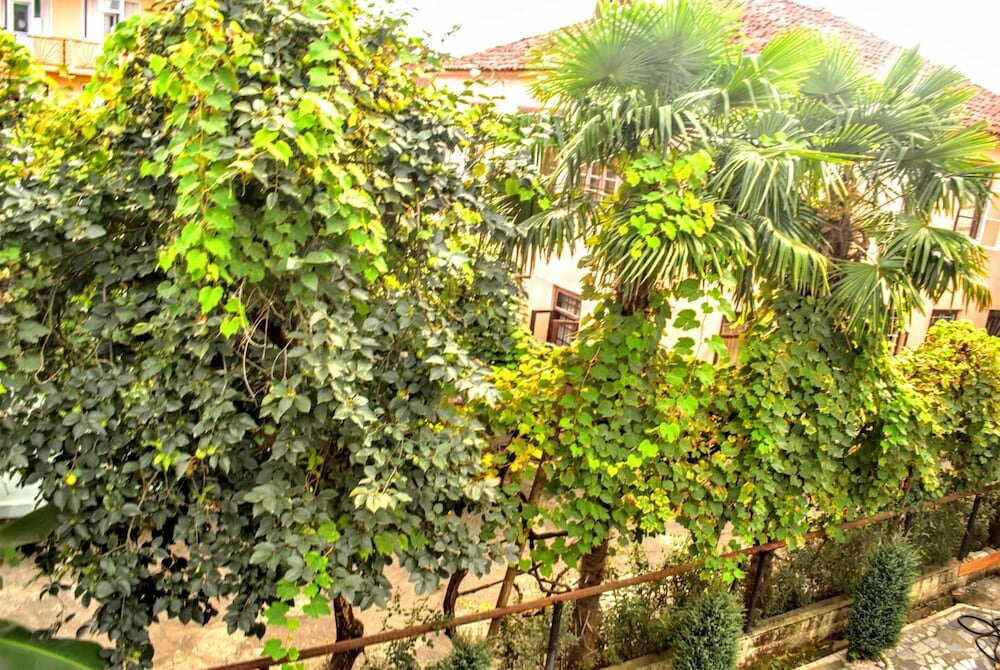 Фото Отель Амиго I