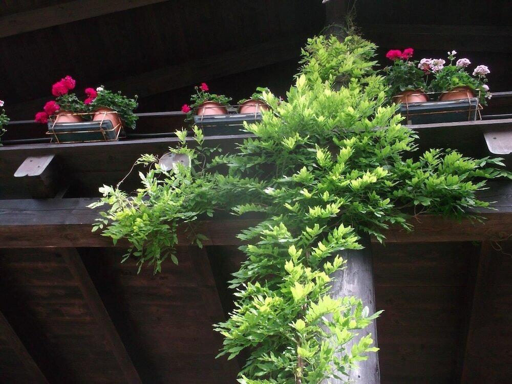 Фото Agriturismo Le Giare