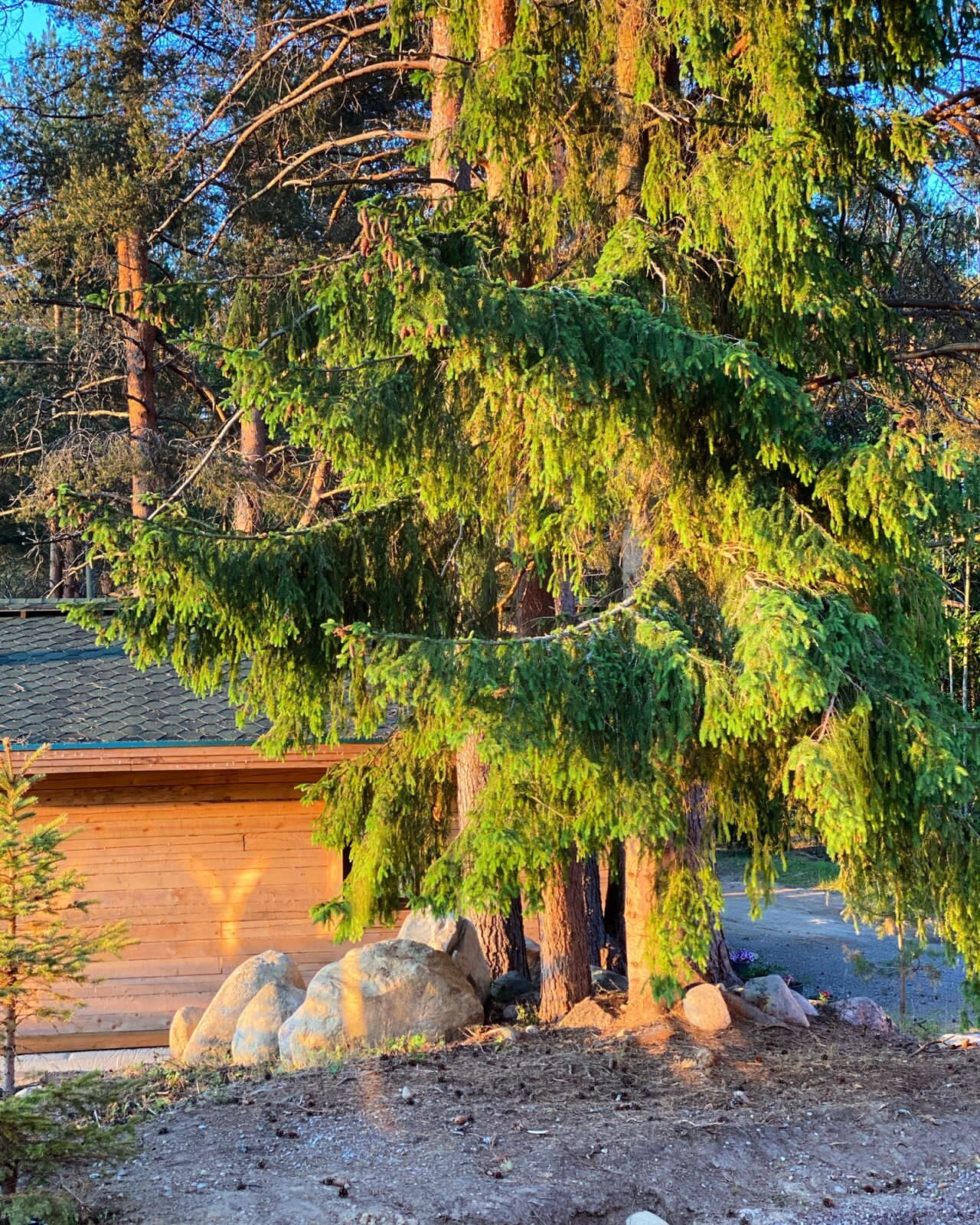 Фото Belka Village