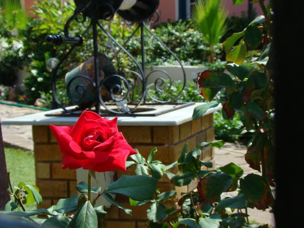 Фото Niki Studios Sea-Front