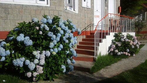 Гостиница Hotel Dev Cottage в Дхарамсале