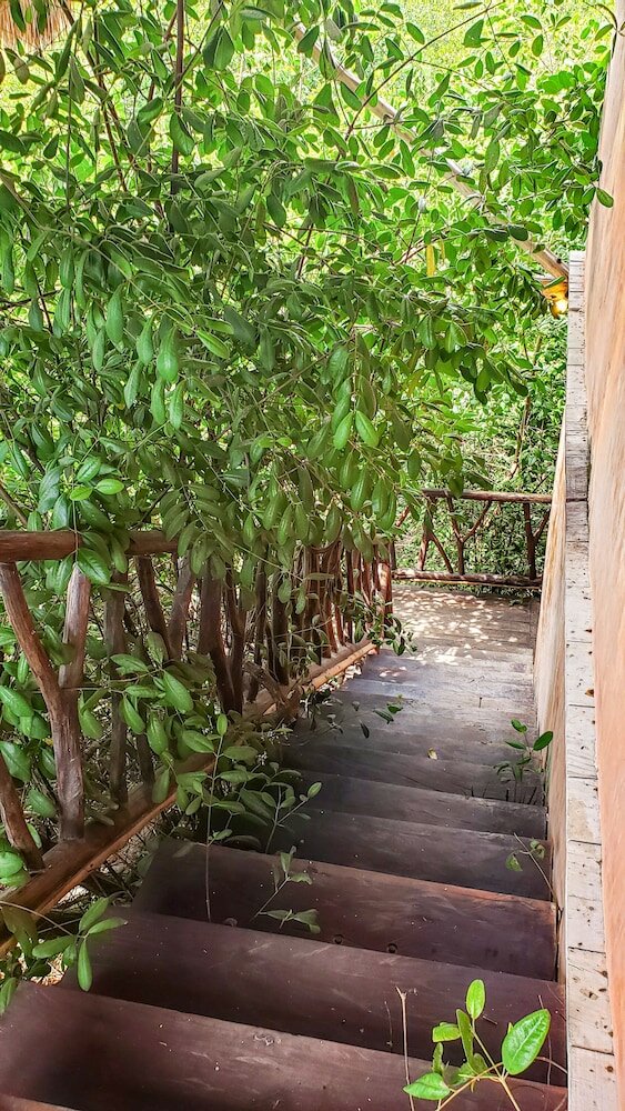 Фото I Scream House