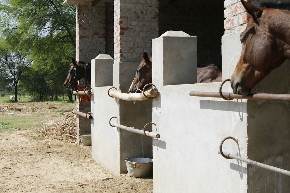 Фото Talabgaon Castle