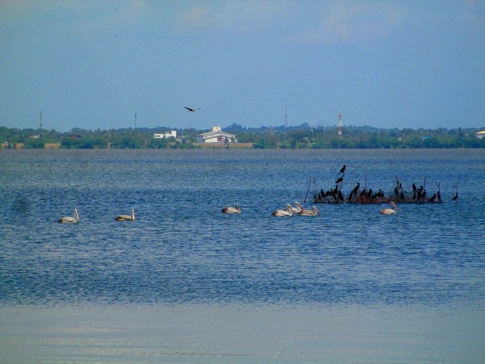 Фото Nico Lagoon Hotel