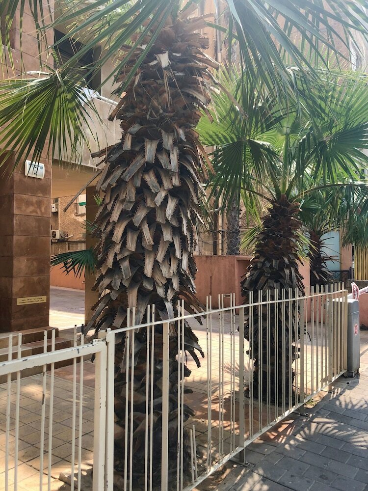 Фото Comfort & Balcony near Beach by FeelHome