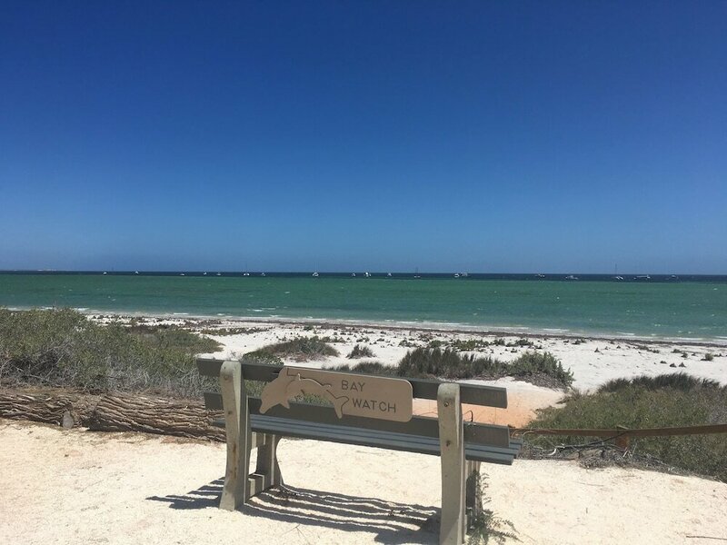 Гостиница Tasman Holiday Parks – Denham Seaside