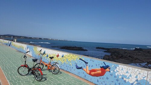 Гостиница Jeju Herb Pension Oz