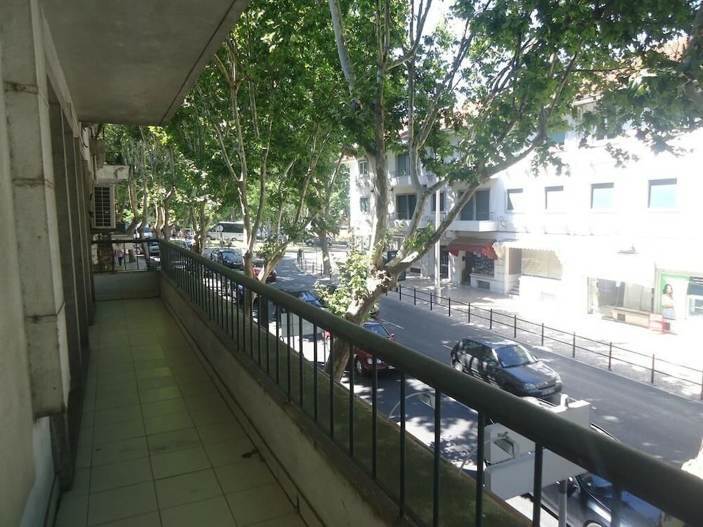 Фото Palm Guesthouse