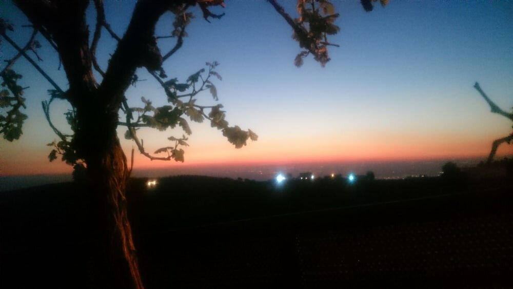 Фото Town of Nebo Hotel