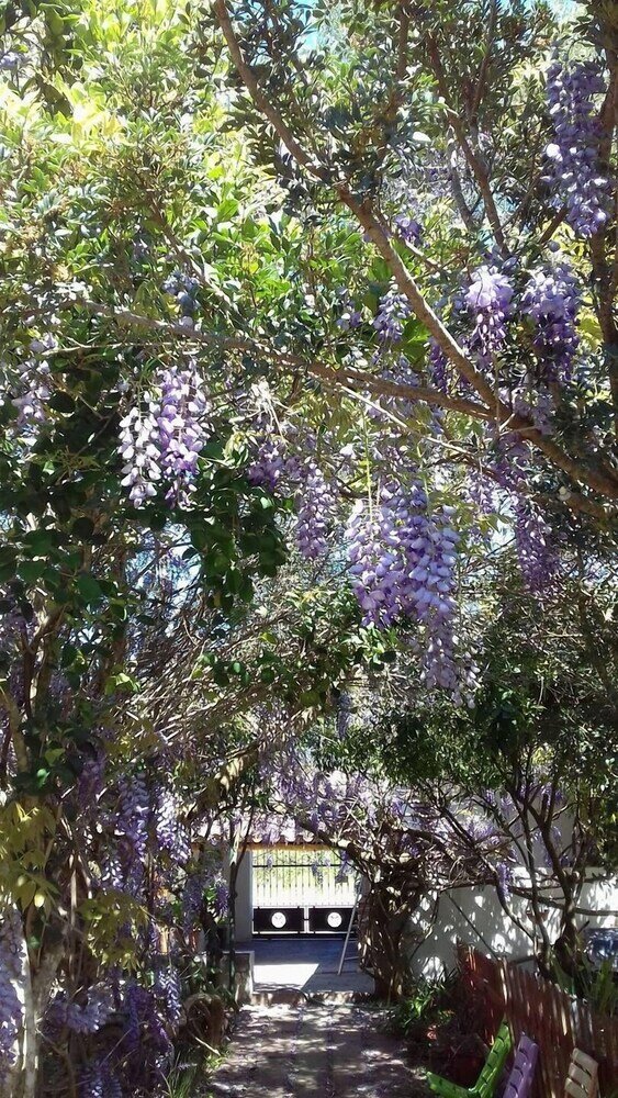 Фото B&b Su Narboni Mannu E4247