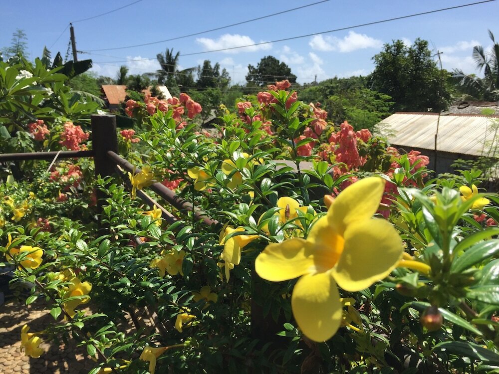 Фото The Village House