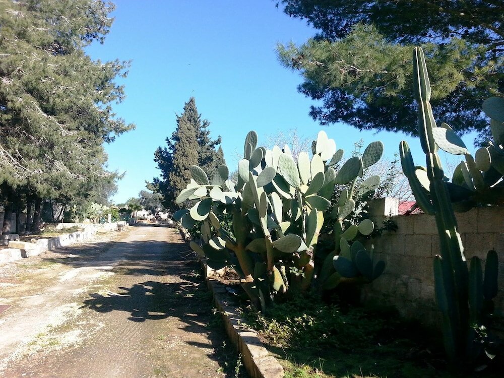 Фото Da Mesciu Nzinu