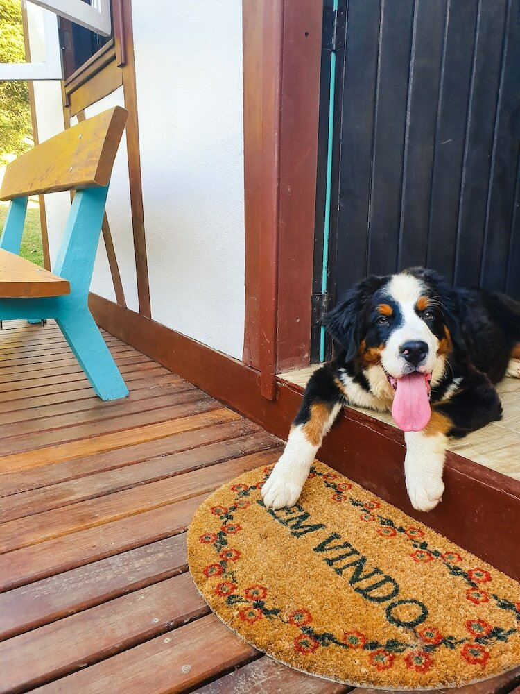 Фото Pousada La Vista