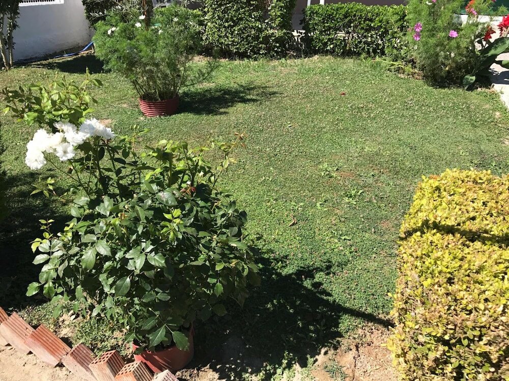 Фото Vicky's Guesthouse