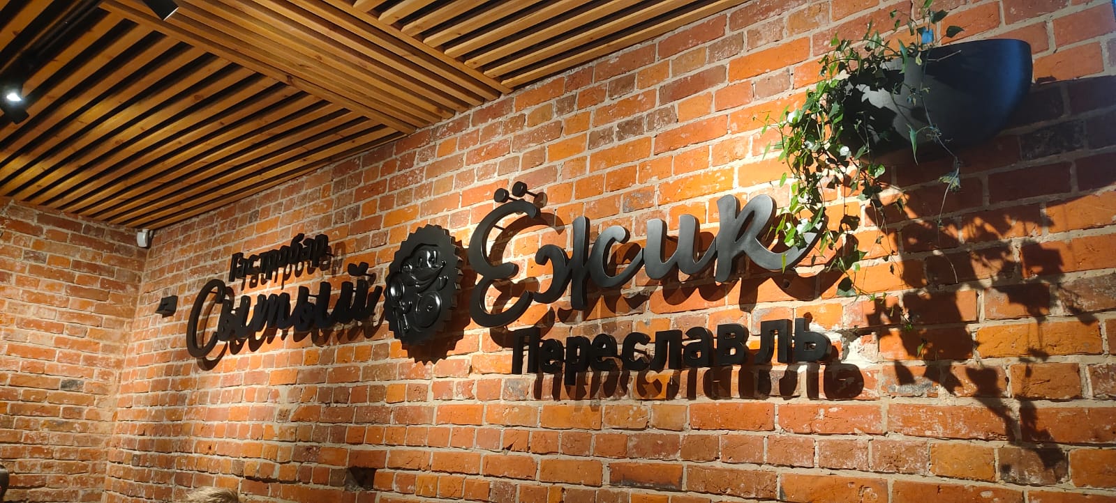 Фото Сытый Ежик