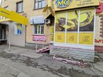 Winter (Nursultan Nazarbaev Avenue, 27) ، استوديو لصناعة الفراء