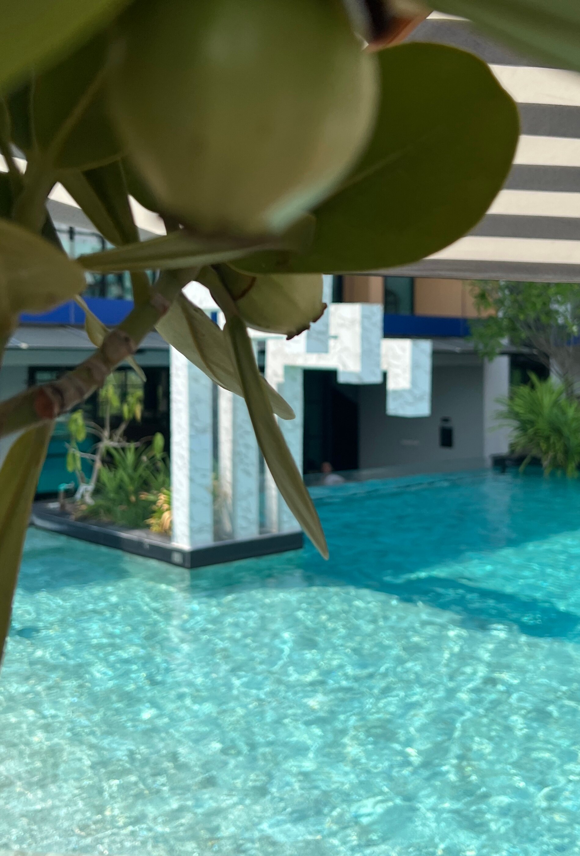 Фото Lewit Hotel Pattaya, a member of Radisson Individuals