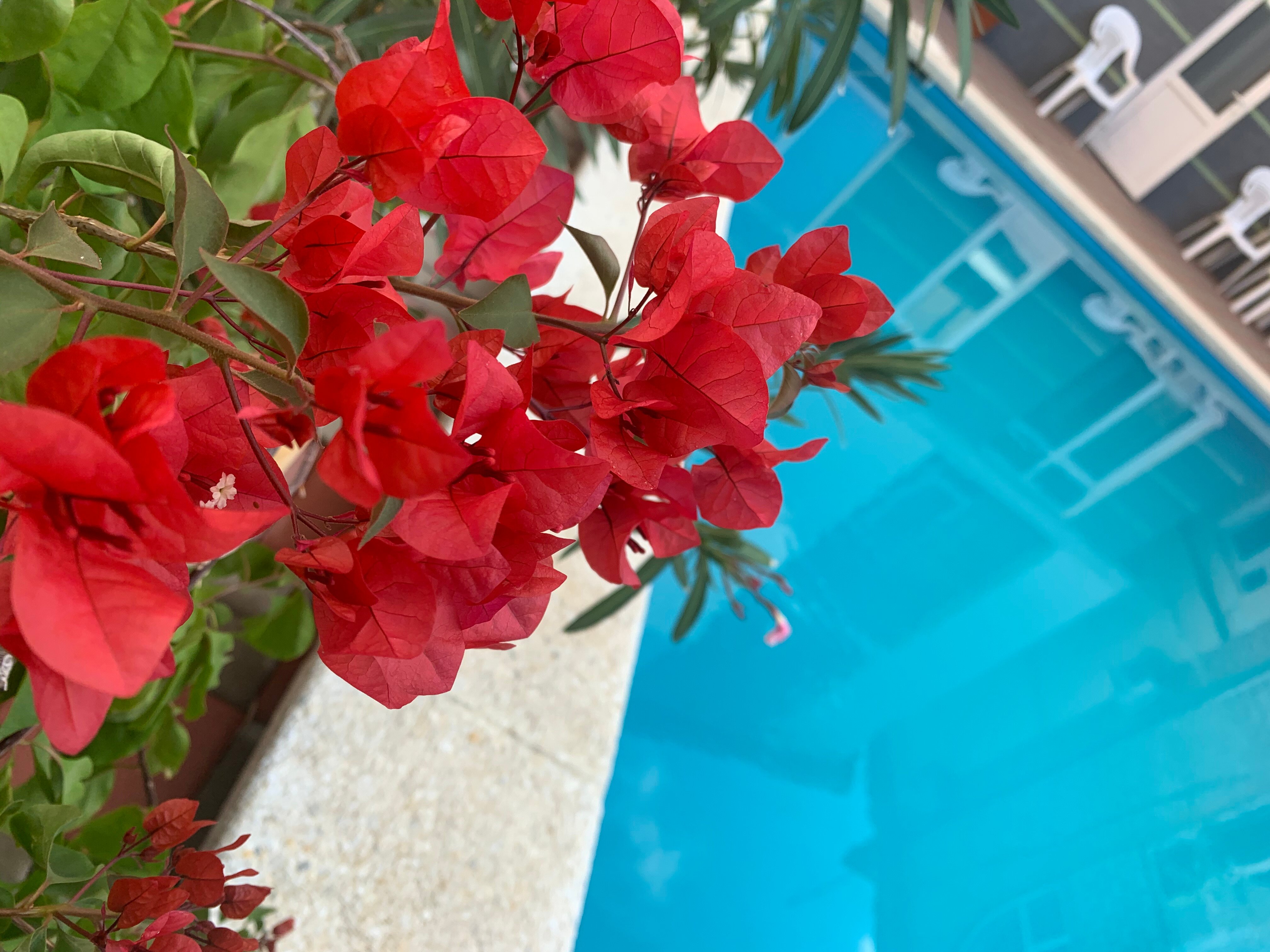 Фото У Боцмана