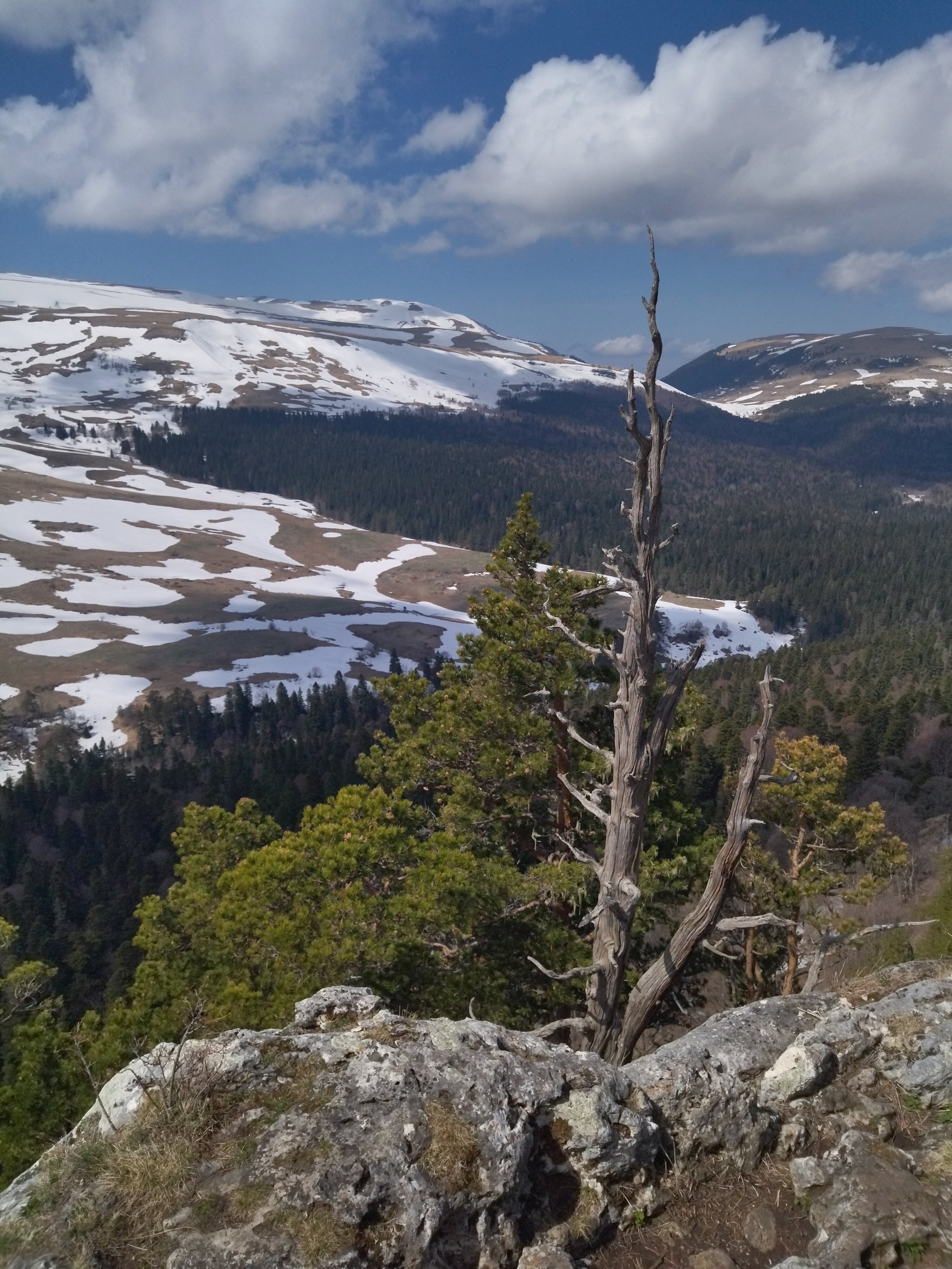 Фото Приезжай