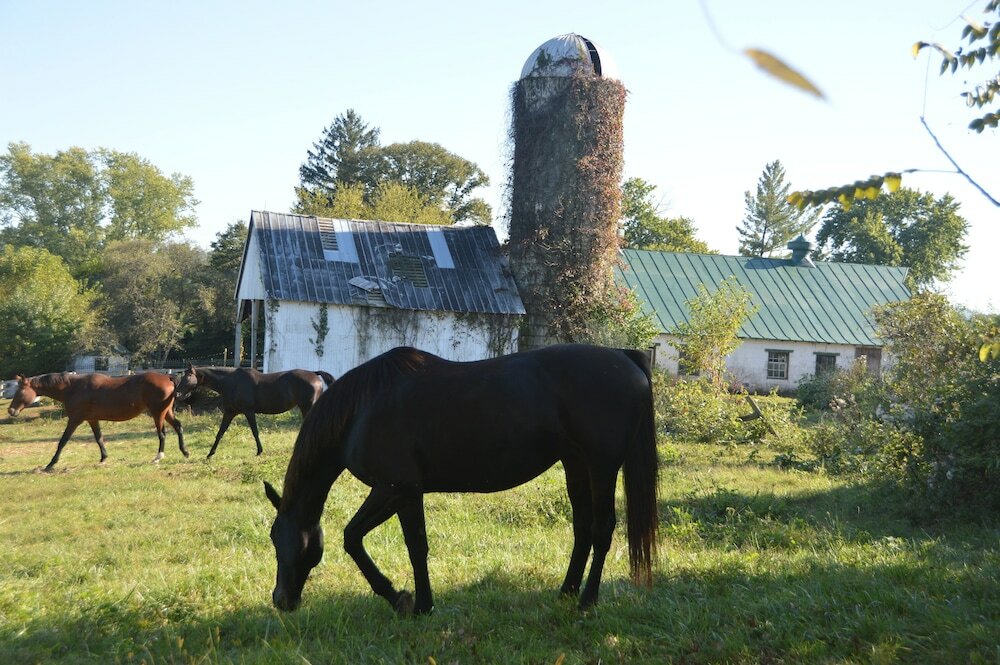 Фото Briar Patch Bed & Breakfast Inn