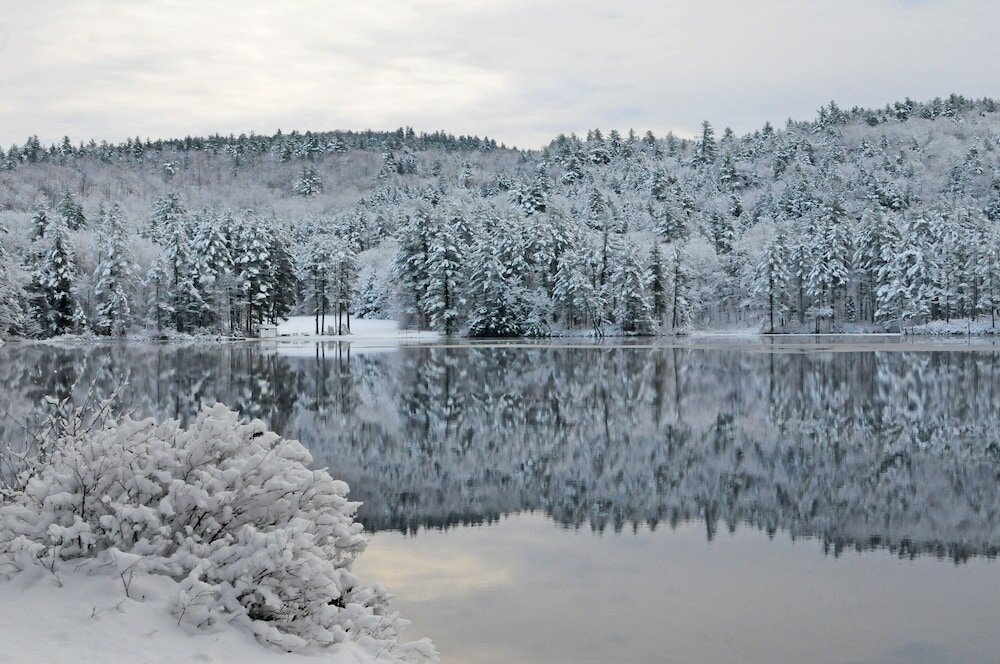 Фото Purity Spring Resort