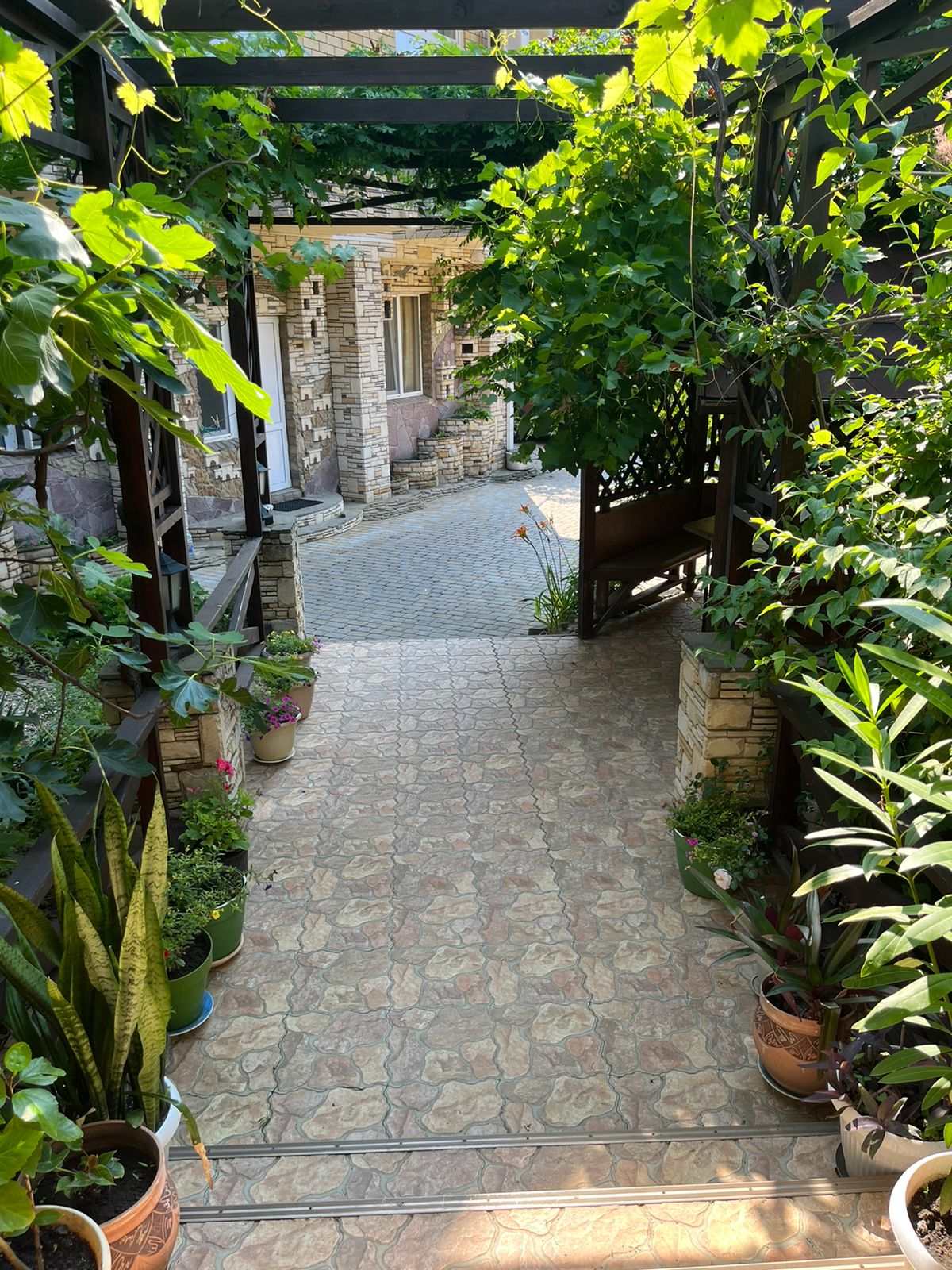 Фото Горный Воздух