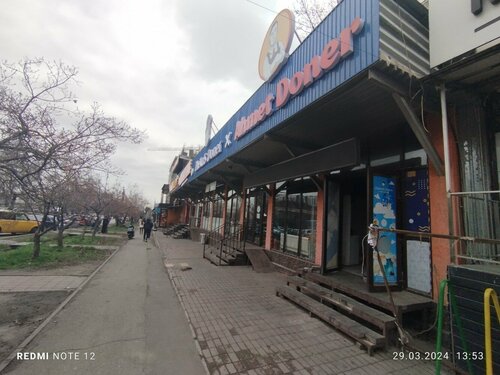 Лесби чирлидерлері