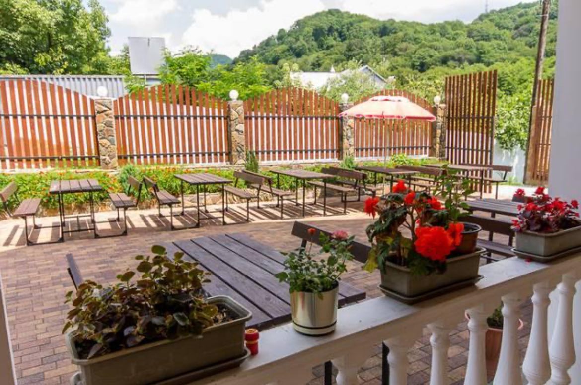 Фото Олимпик