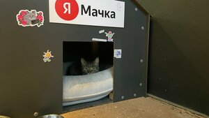 Я. Мачка (Belgrade, Vojvode Bojovica Boulevard, 12), landmark, attraction