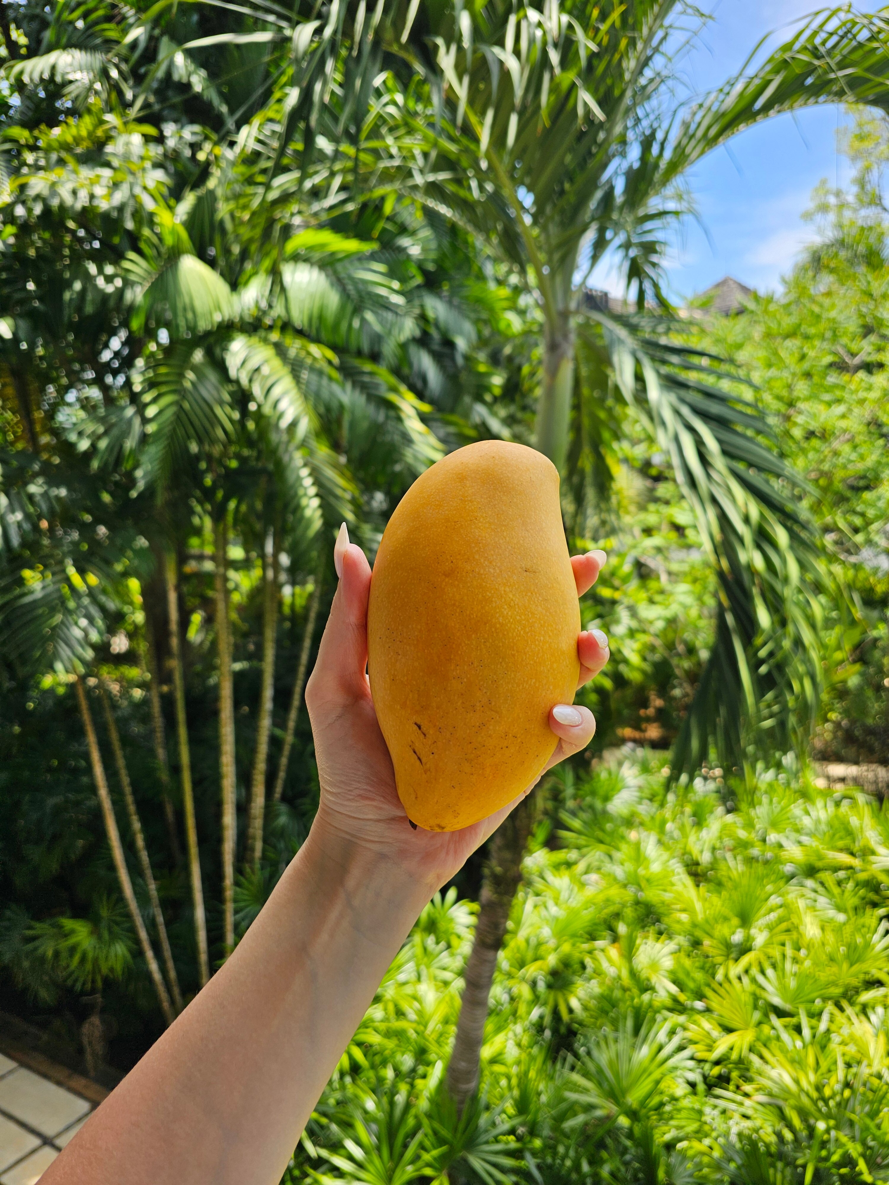 Фото Bangtao Beach Garden