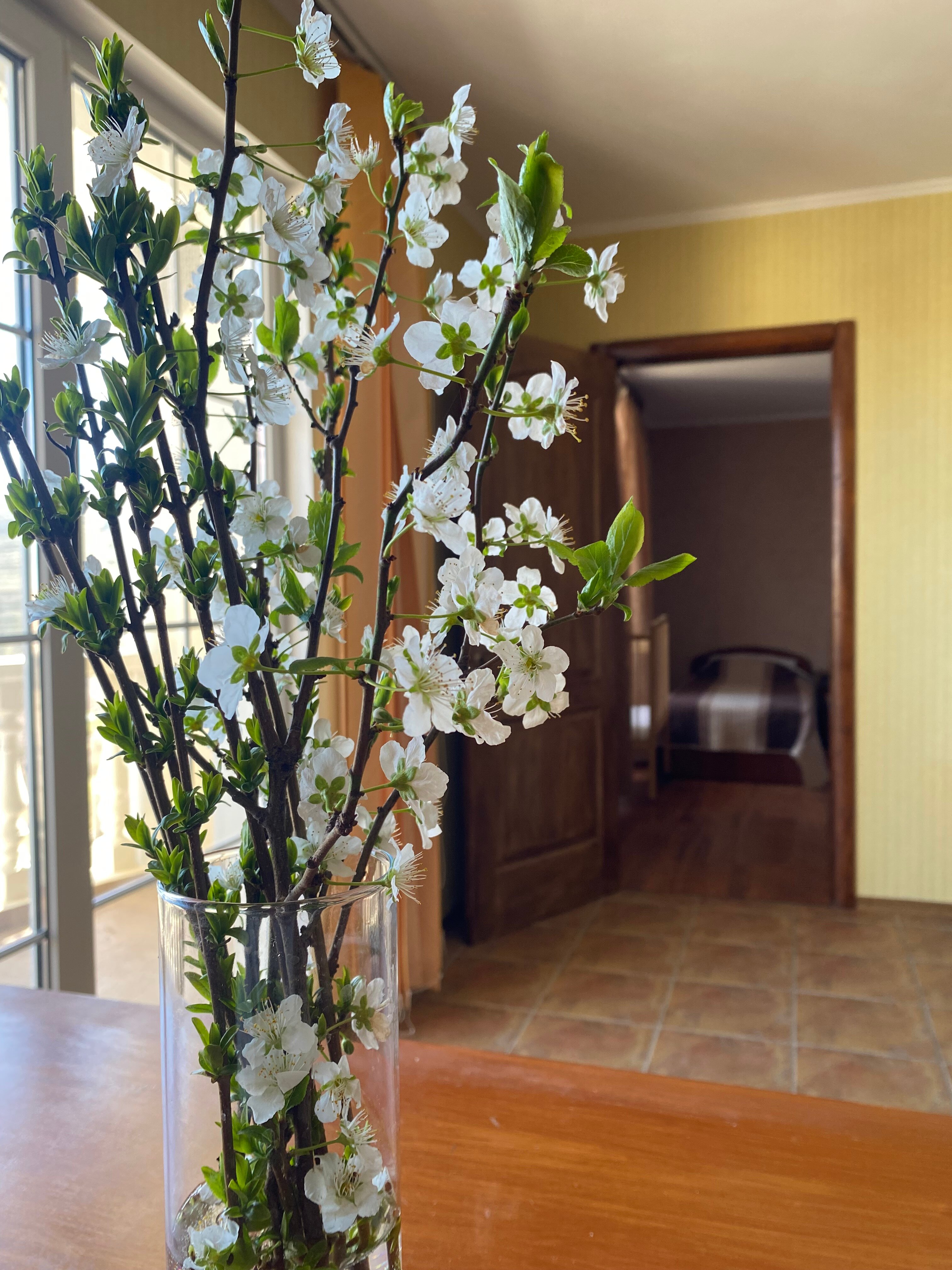 Фото Скифская долина