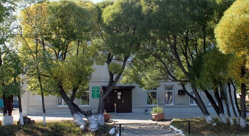 متحف Local History Museum ، مقاطعة أومسك، صورة