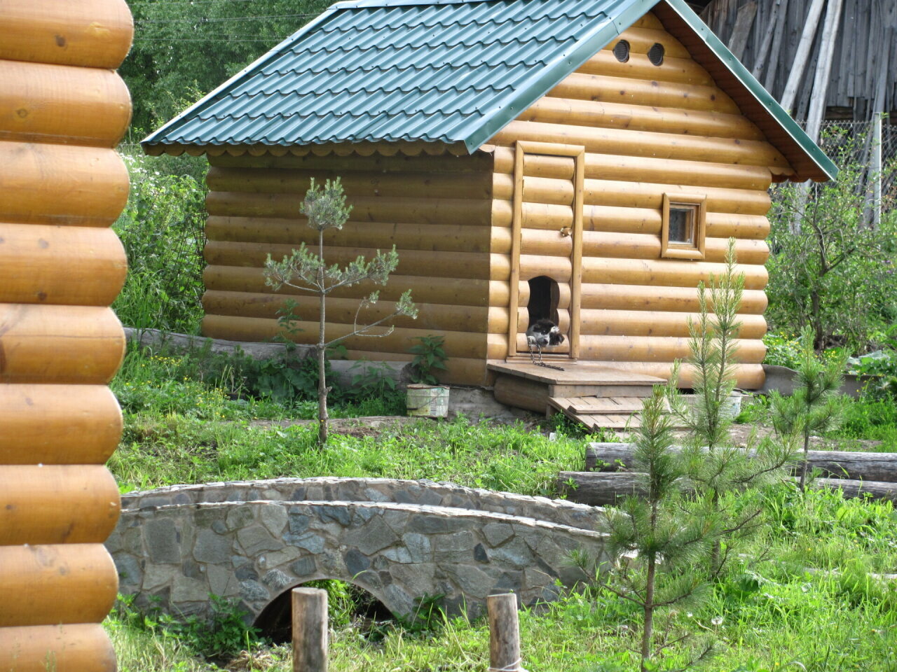 Фото Четыре стихии