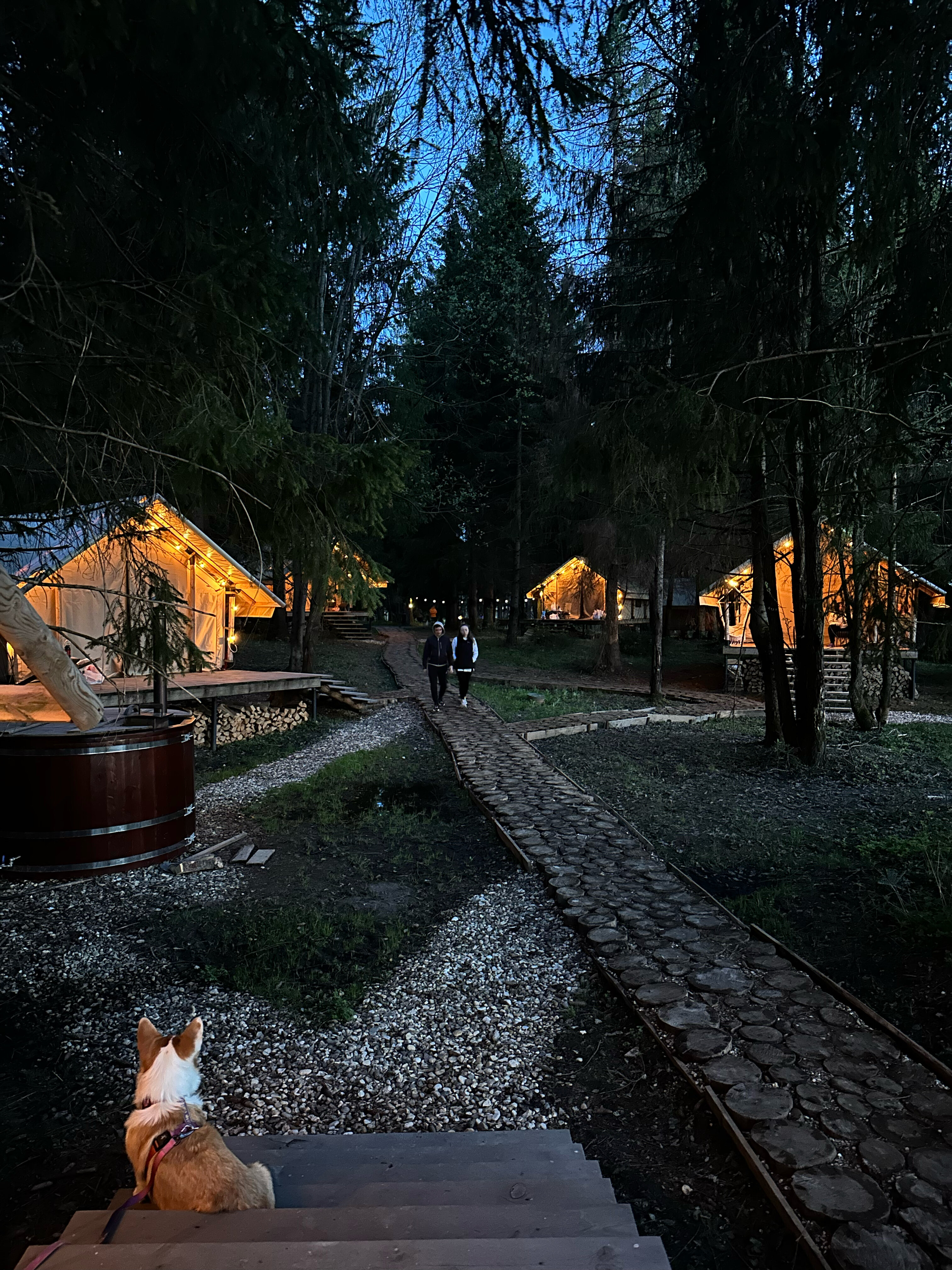 Фото Заповедник