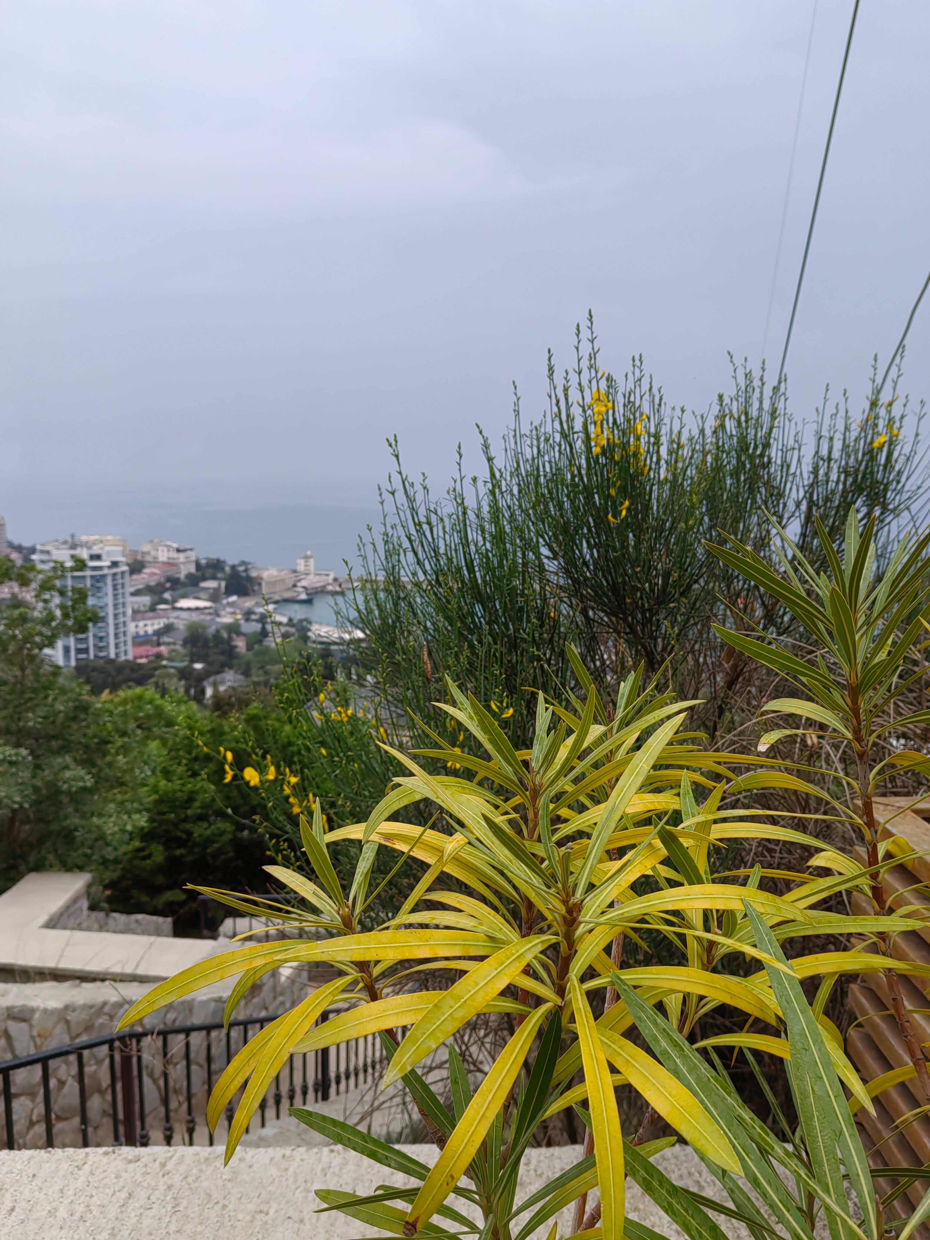 Фото Крым-Дрим