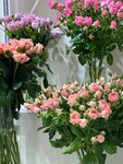 Sea Rose (микрорайон Центральный, Морской пер., 2), магазин цветов в Сочи