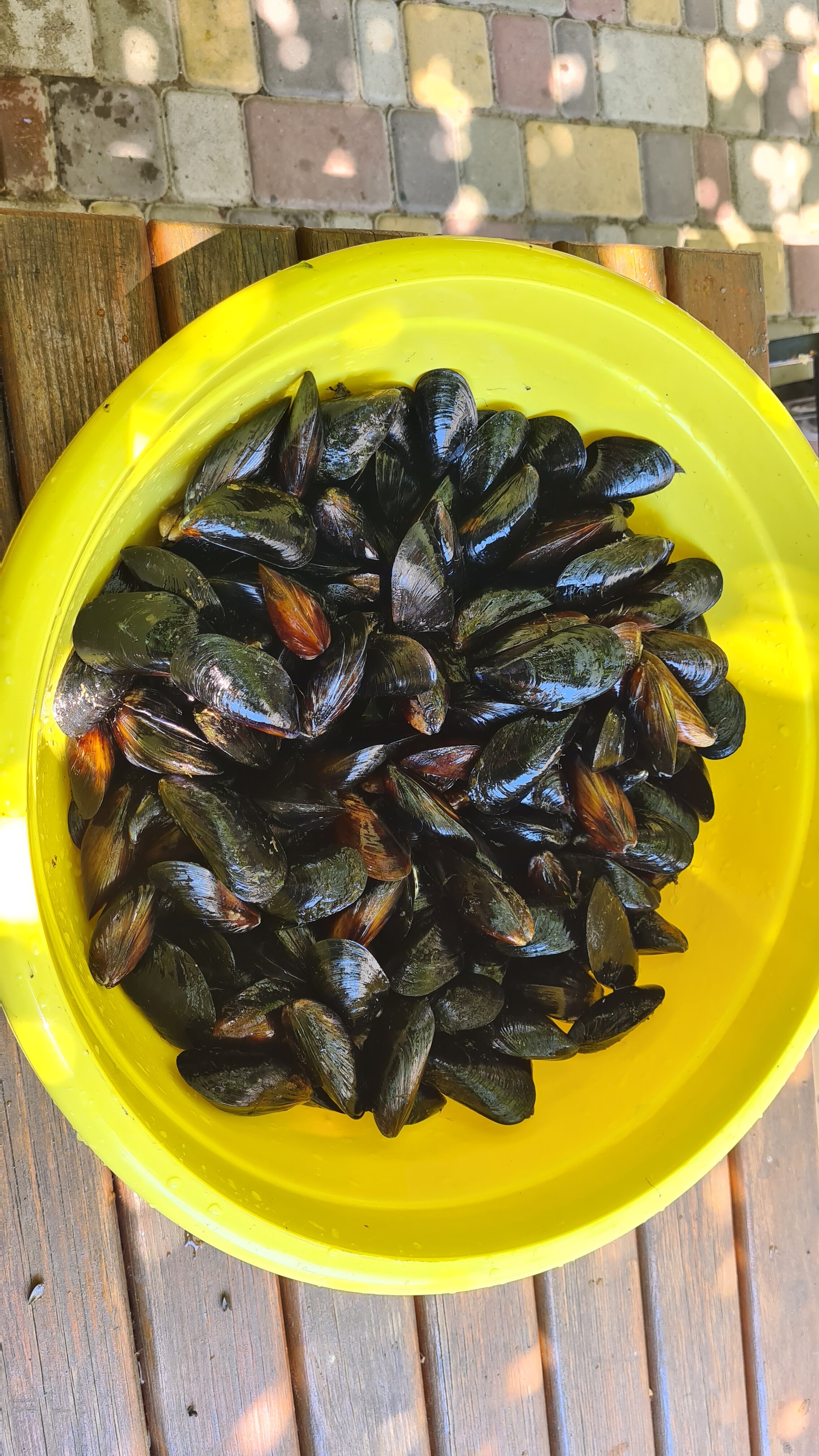 Фото Алетон