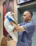عيادة الجوارح البيطرية (35/1, Qais Bin Abi Sa'Asa'Ah Street, Al Jubail, Al Qasimiah, Sharjah) ، عيادة بيطرية