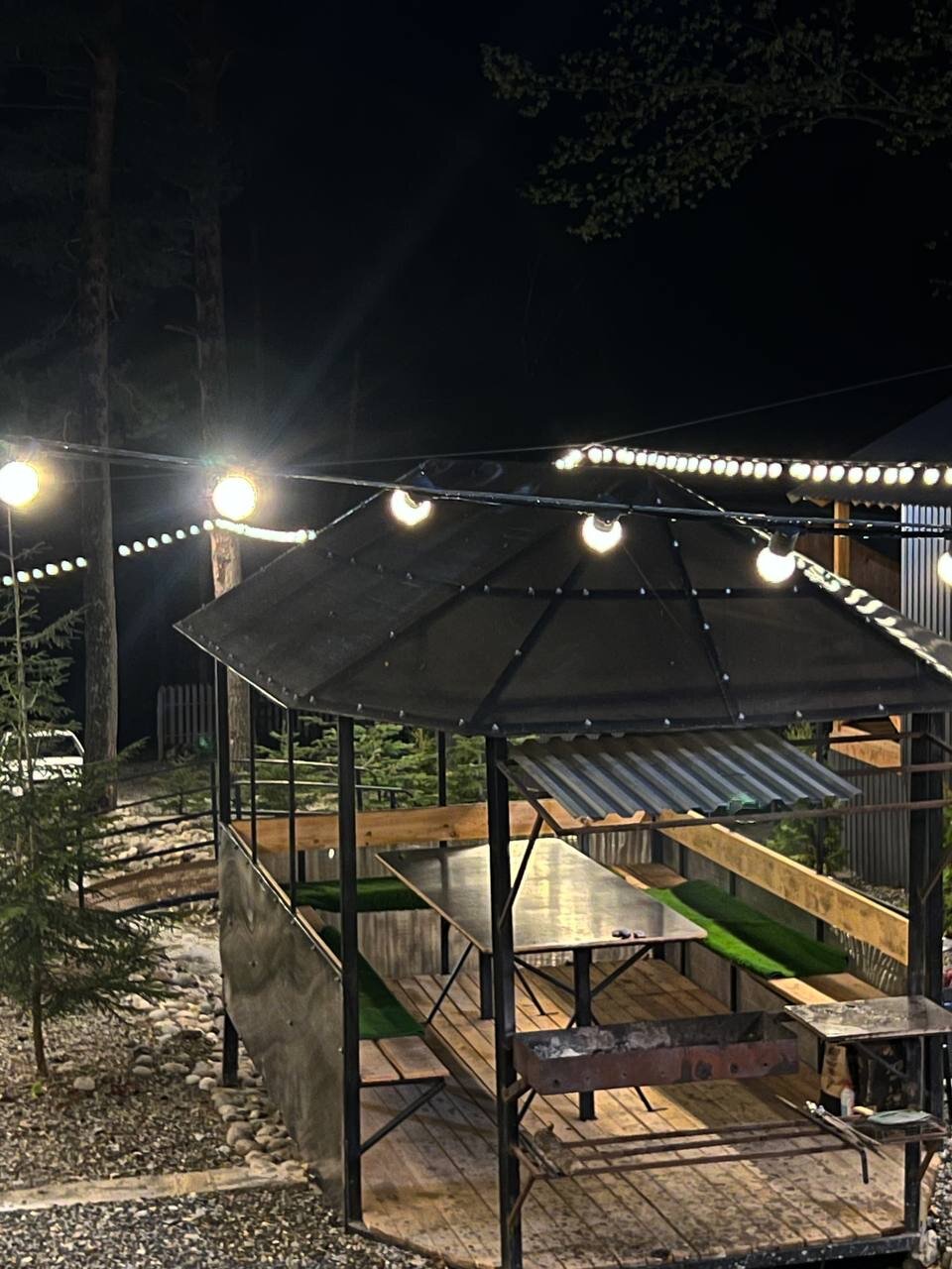 Фото Сосновка