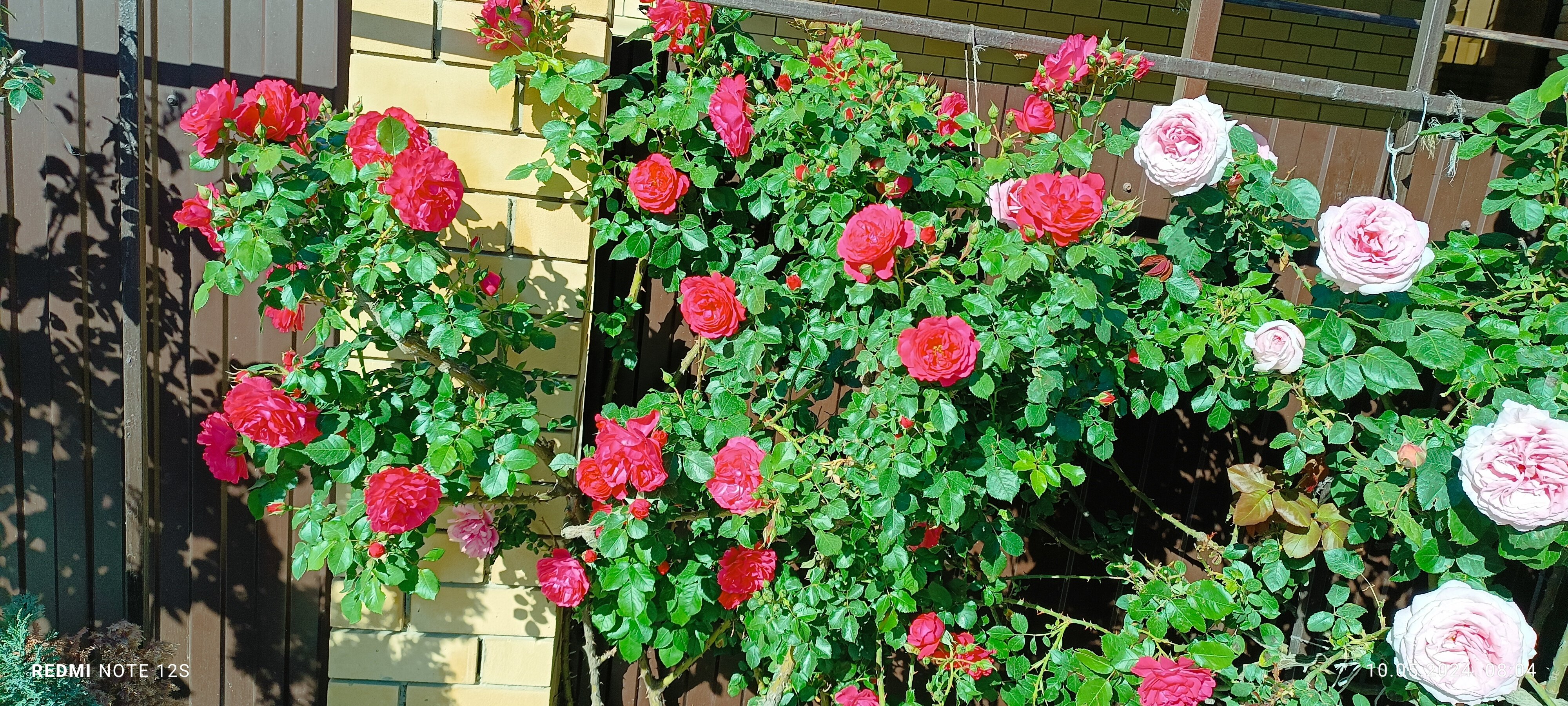 Фото Антипов