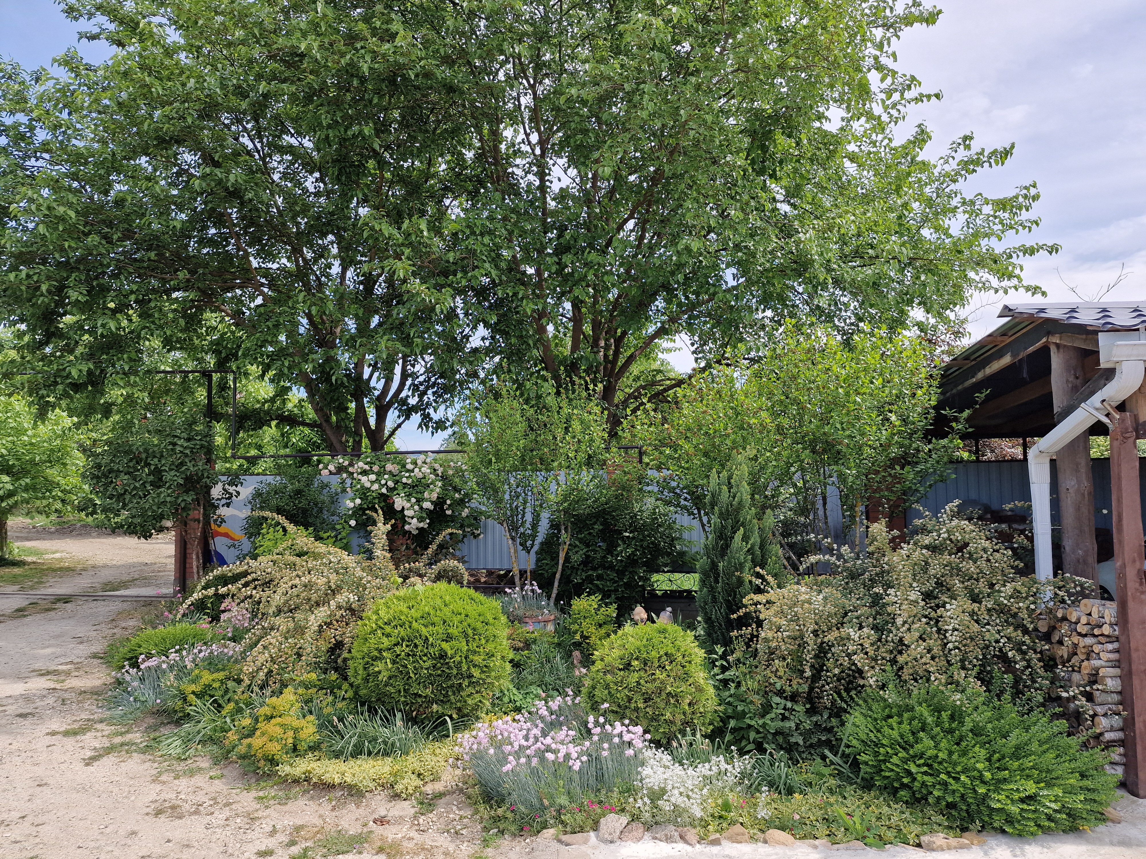 Фото Горный родник