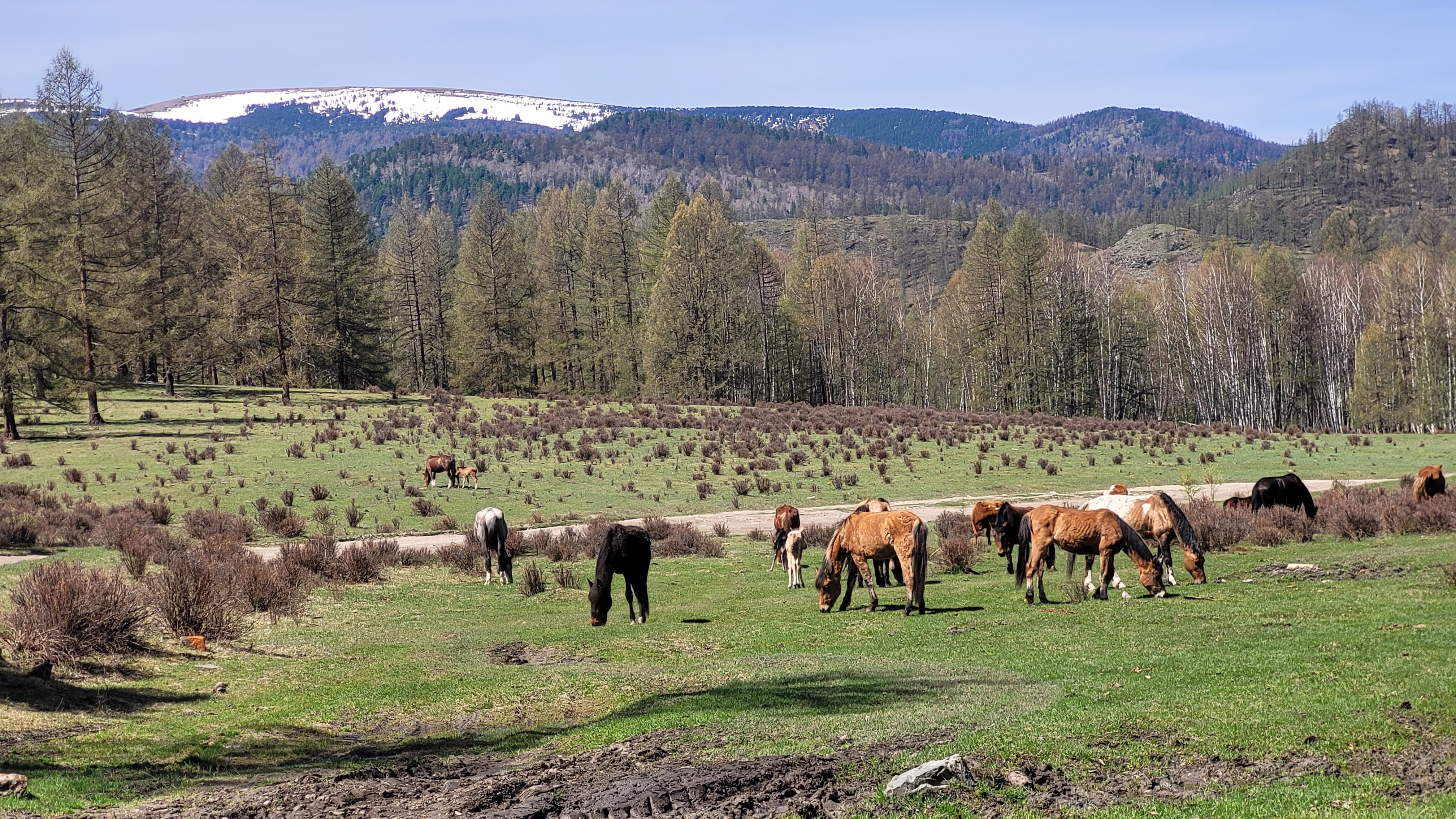 Фото Самарган
