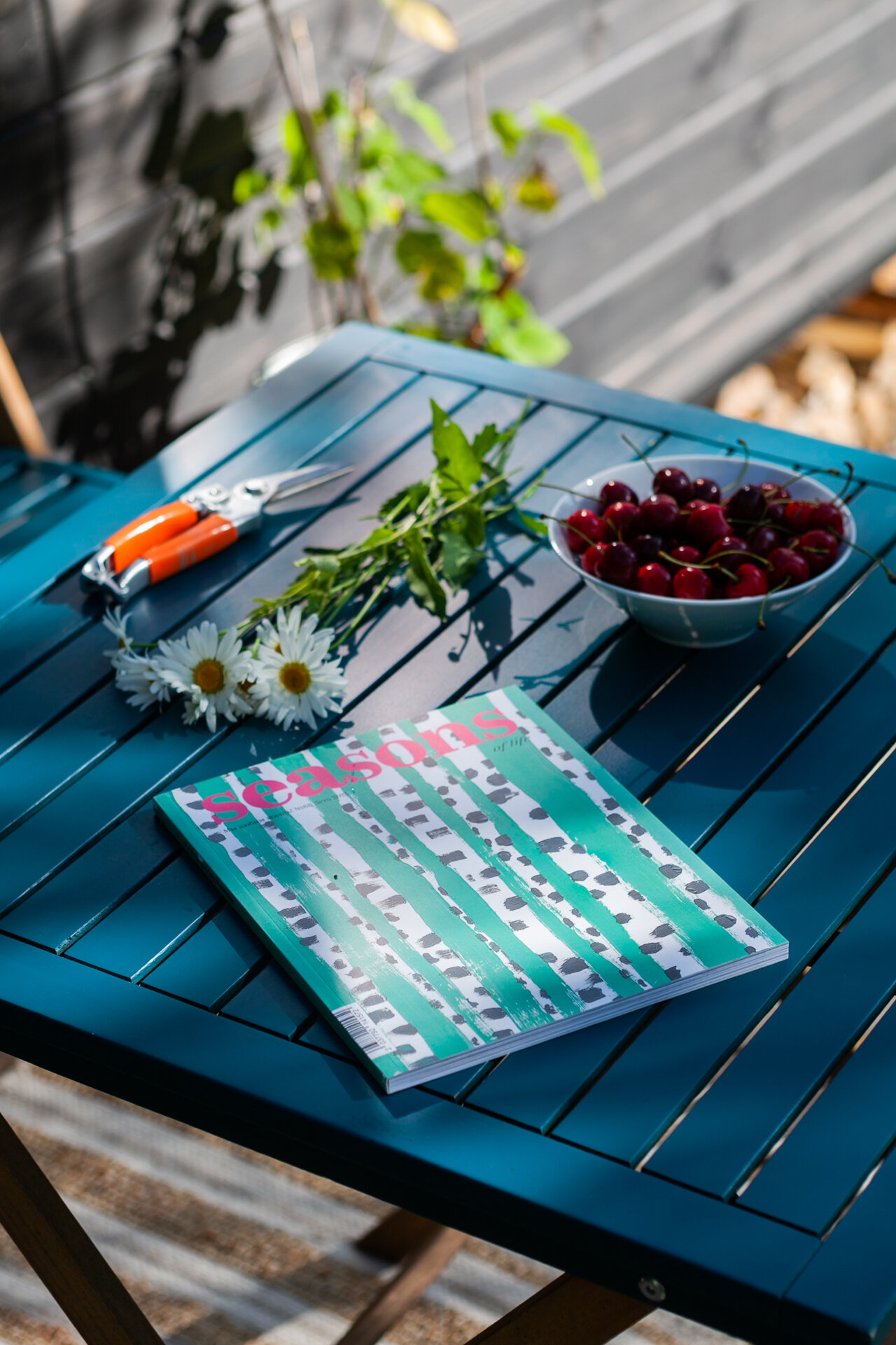 Фото Д Дача