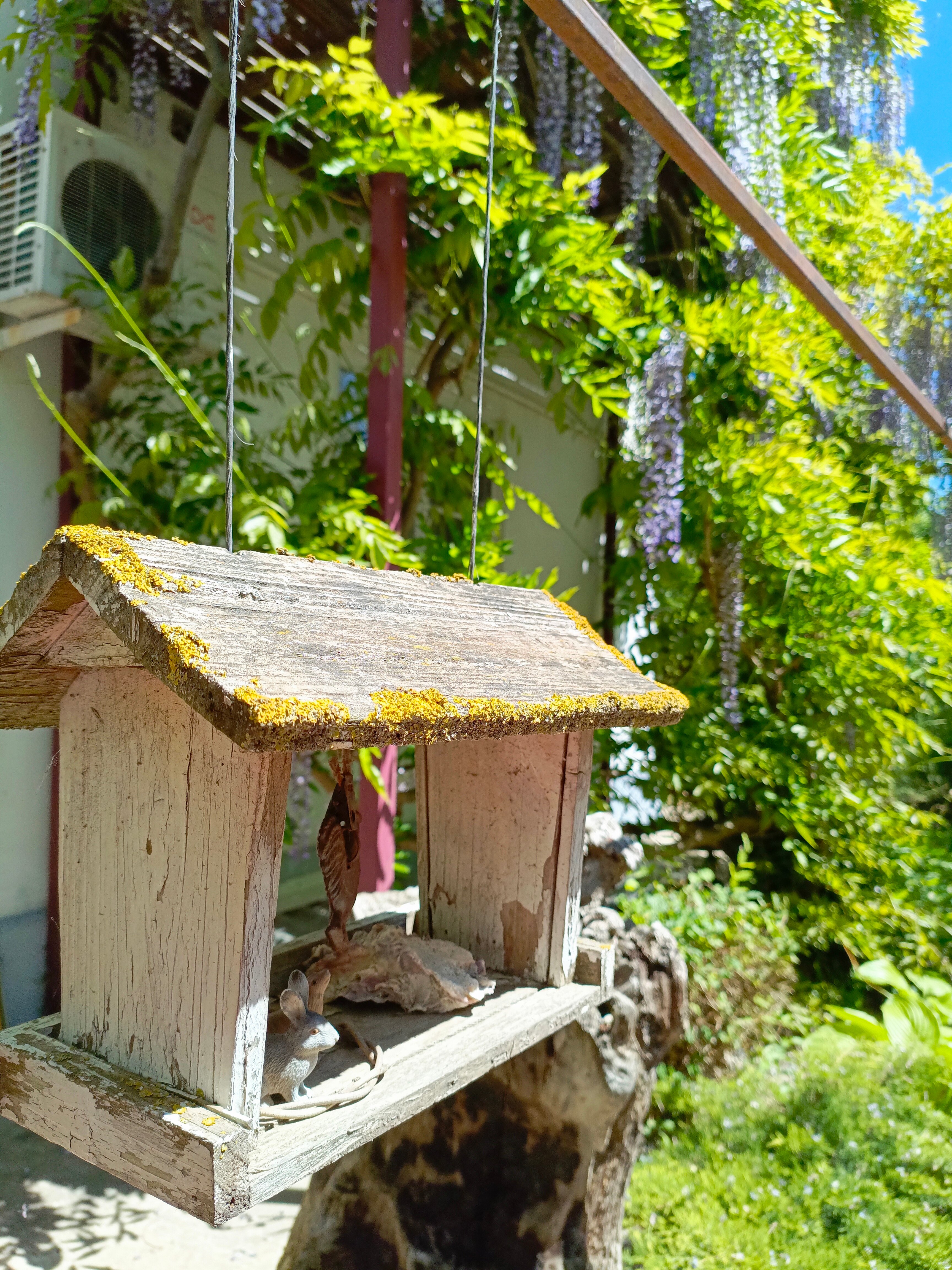 Фото Blaga House design dacha