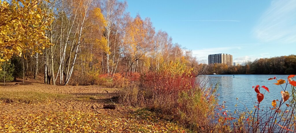 Пляж Нудистский пляж в Строгино, Москва, фото