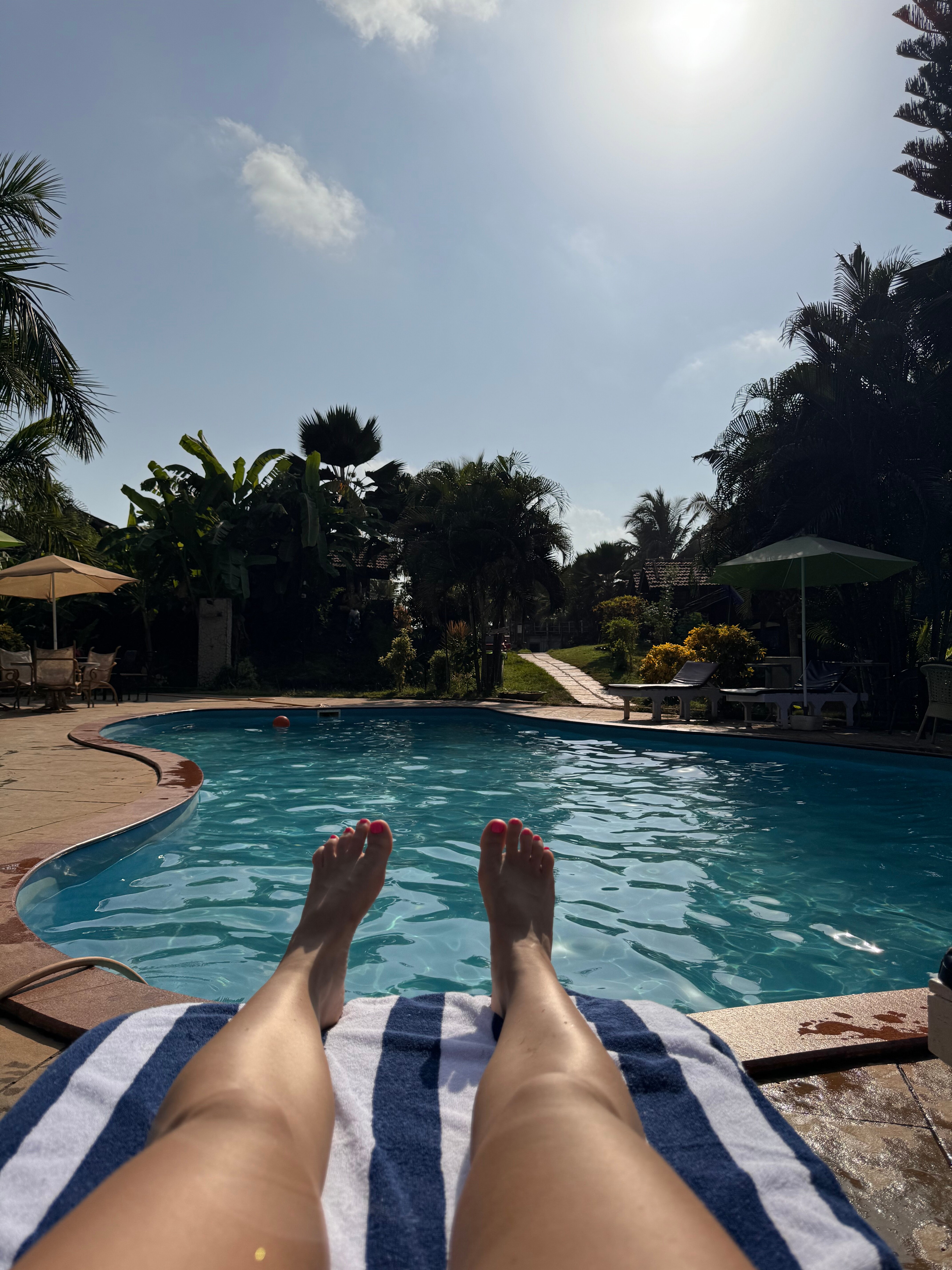 Фото Lotus Sutra