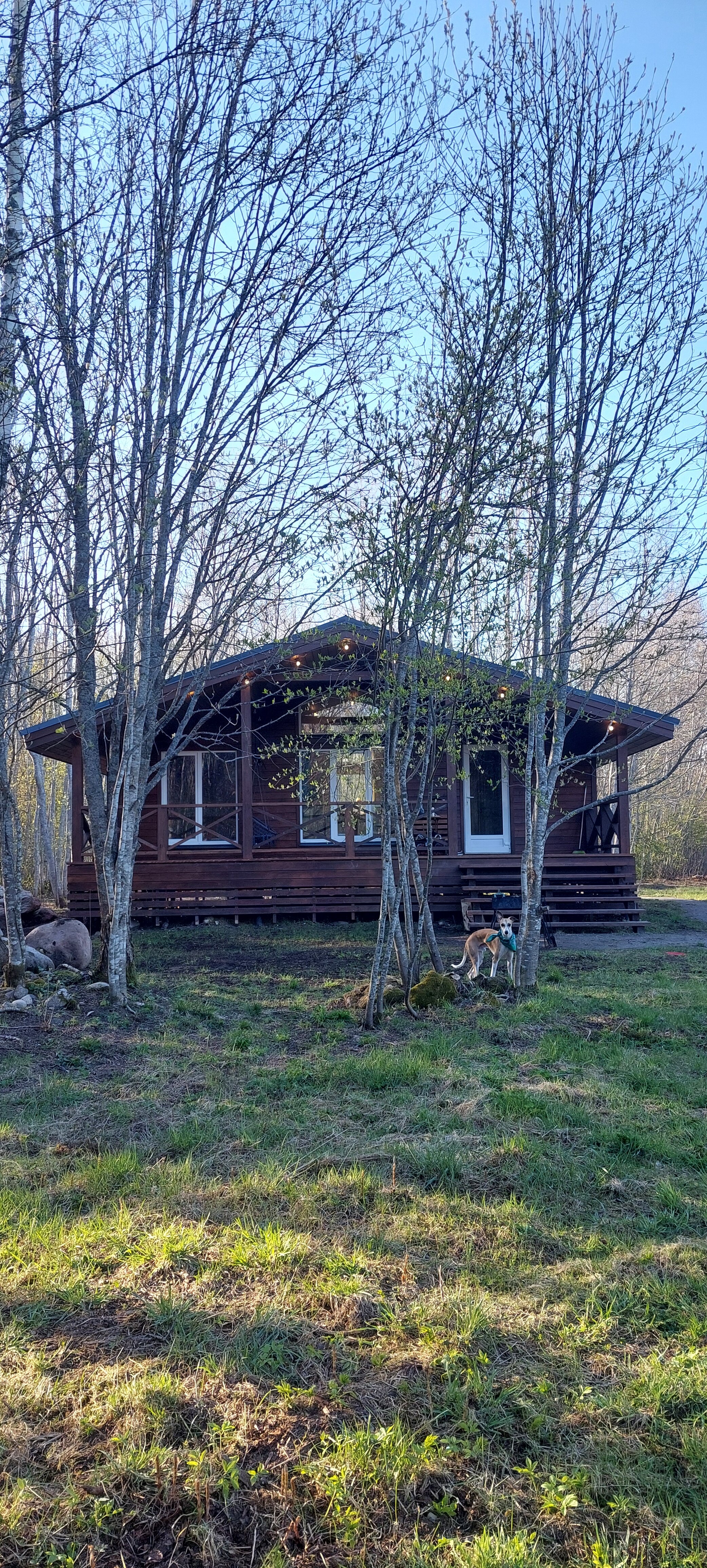 Фото Ладога Хоум - на берегу озера