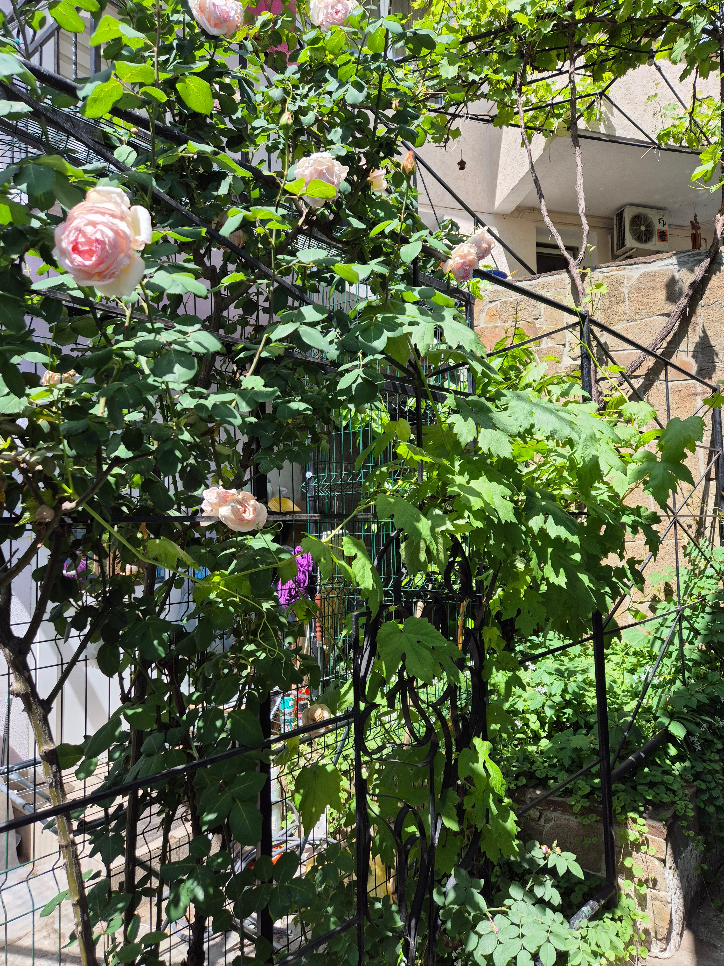 Фото Клименко хаус