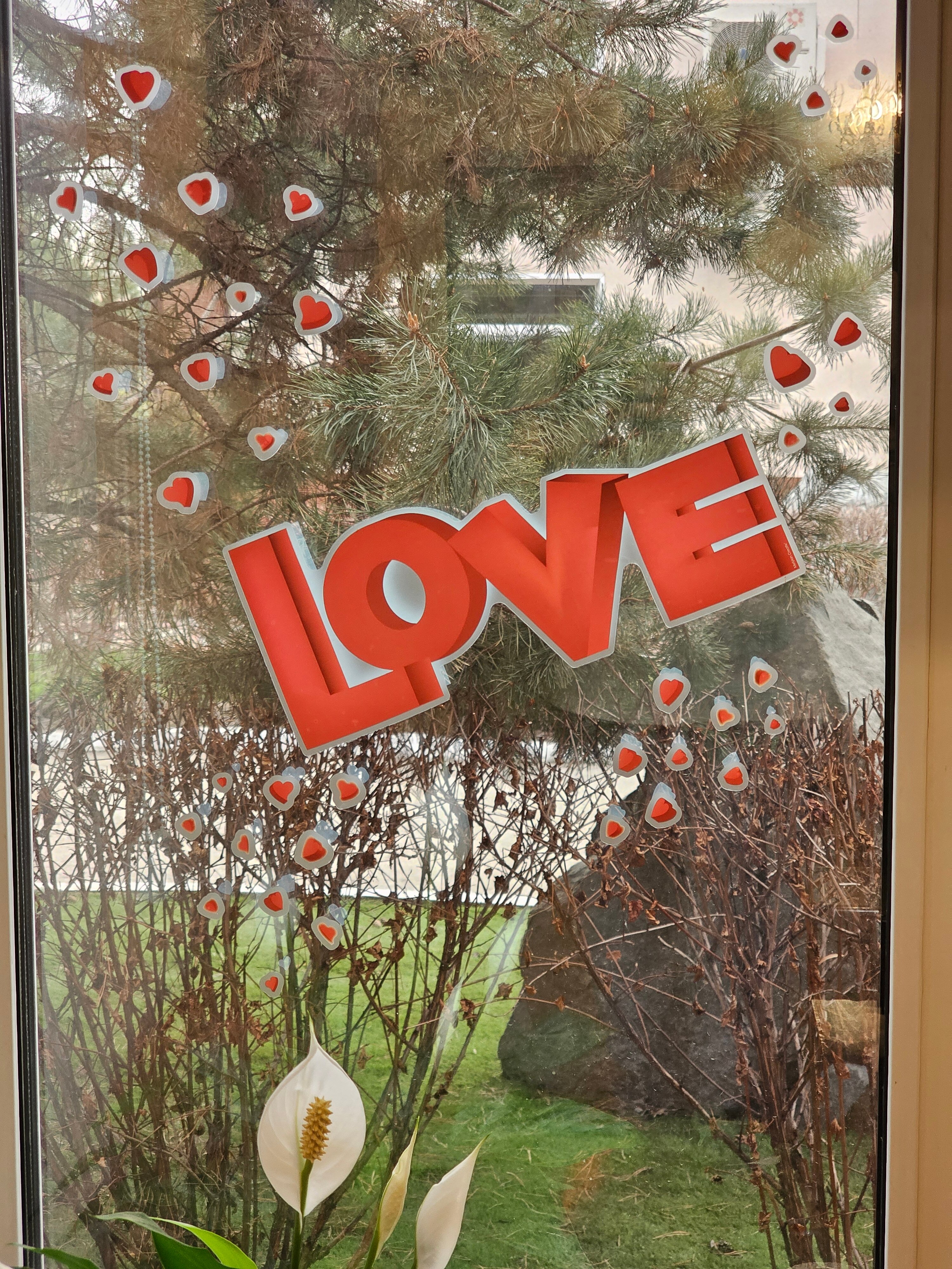 Фото Сокольники